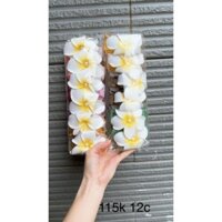 kẹp Hoa sứ hót nhất