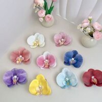 Kẹp tóc hoa Phalaenopsis, mũ đi nghỉ bên bờ biển dành cho nữ