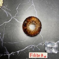 Kẹp tóc tổ chim nhựa đa năng, cặp búi tròn phong cách Hàn Quốc, phụ kiện tóc KT020 - Filibra - 7 - Nâu chấm