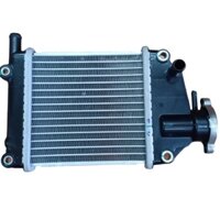 Két nước làm mát tản nhiệt cho xe AirBlade- A8649