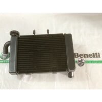 Két nước làm mát xe BN302 BN302S chính hãng Benelli