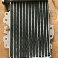 Két nước xe Sh Ý loại 1