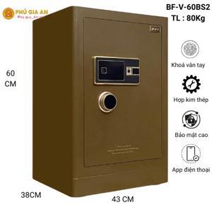 Két sắt Boshang Series BF-V-60BS2