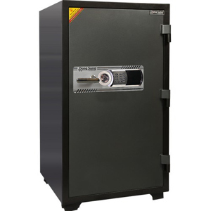 Két sắt Dong Sung DS-120E