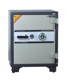 Két sắt Truly TL-65C