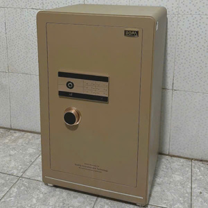 Két sắt vân tay Bojin Series BF-V-80BJ