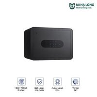 Két Sắt Xiaomi Thông Minh BGX-5/X1-3001