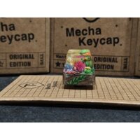 keycap artisan tiểu cảnh Terrarium