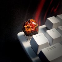 Keycap Coral - Nút cơ bàn phím - keycap xuyên sáng - keycap san hô