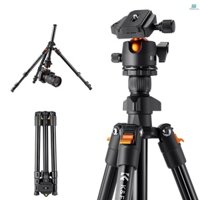 K&F CONCEPT Portable Camera Tripod Stand Aluminum Alloy 160cm/62.99 Max. Height 8kg/17.64lbs Load Capacity Low Angle Photography Travel Tripod with Carrying Bag for DSLR Cameras