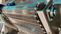 Khám Phá Máy Rửa Rau Củ Quả Công Nghiệp