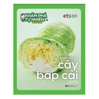 Khám Phá Tự Nhiên Quanh Em Biết Tuốt Về Cây Bắp Cải - Bản Quyền