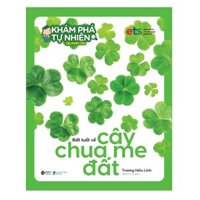 Khám Phá Tự Nhiên Quanh Em Biết Tuốt Về Cây Chua Me Đất