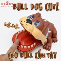 Khám răng chó Bull siêu CUTE