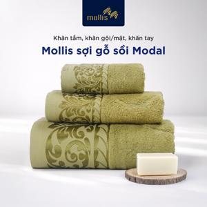 Khăn mặt Mollis FMR5 34 x 80 cm