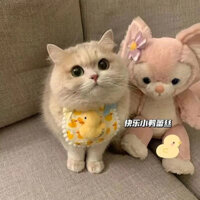 Khăn quàng cổ mèo khăn thấm nước bọt khăn quàng cổ cho chó cưng yếm nơ trang trí yếm dễ thương trang sức cổ áo ren-lala