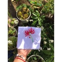 khăn tay thêu truyền thống