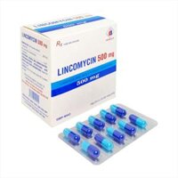 Kháng sinh Lincomycin 500mg Domesco (H/200v)