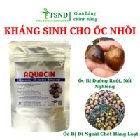 Kháng sinh ốc AquaCin dành cho ốc nhồi, ốc bươu đen, sưng vòi, nổi nghiêng
