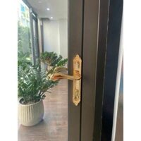 Kháo đồng mạ vàng 24k đơn điểm Sevendays