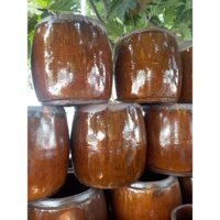 Khạp trồng sen, lu trồng cây phong cách, chậu trồng cây