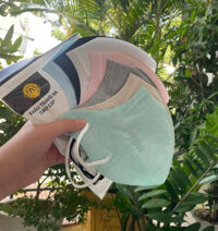 Khẩu trang y tế full mặt 9A bịch 10 cái