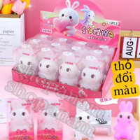 Khay 12 con mochi squishy gấu đổi , thỏ đổi màu theo ánh nắng nhiệt độ