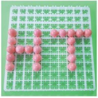 Khay ấp trứng gà H100 trứng - Nhựa nguyên khối cao cấp