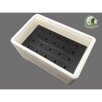 Khay chậu nhựa trồng rau thông minh 2 đáy màu trắng 67x43x15cm