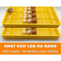 Khay đảo lăn 120 trứng tự động ÁNH DƯƠNG ấp tất cả các loại trứng .nhựa ABS  cao cấp hàng chính hãng