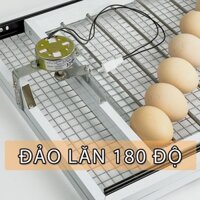 Khay đảo trứng gà 54 quả - Khay nhôm sứ đảo tự động lăn tròn