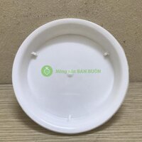 Khay Đĩa Lót Đế Chậu D120 Binh Thuan Plastics - Màu Trắng