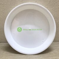 Khay Đĩa Lót Đế Chậu D150 Binh Thuan Plastics - Màu Trắng