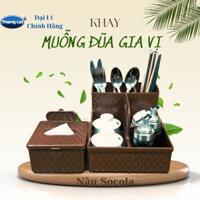 Khay đũa ống đũa muỗng gia vị Size Lớn nhà hàng, quán ăn Nhựa Thắng Lợi