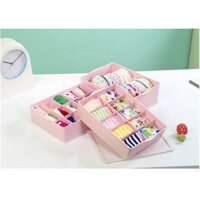 Khay Đựng Đồ Lót Bằng Nhựa 10 Ngăn Homestar_KDD002