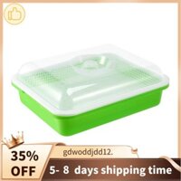 Khay mầm cao cấp có nắp BPA Free Bean Sprout Grower Khay hạt giống nảy mầm, cách không bụi bẩn và dung tích lớn