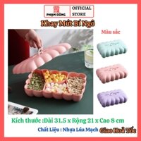 Khay mứt tết 2025 hình quả bí ngô may mắn tài lộc màu pastel