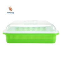Khay nảy mầm hạt giống có nắp Hộp đựng hạt giống nảy mầm miễn phí, cách không bụi bẩn và dung tích lớn