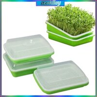 Khay nảy mầm hạt giống SC có lỗ thoát nước Khay nuôi mầm thực vật trong vườn