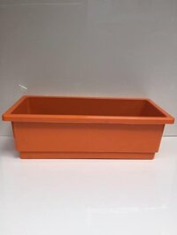 Khay nhựa trồng rau 30