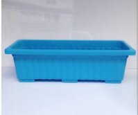 Khay nhựa trồng rau chữ nhật nhỏ