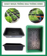 Khay nhựa trồng rau thông minh