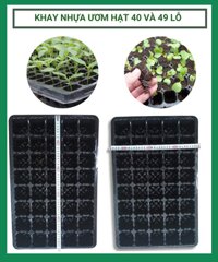 Khay nhựa ươm hạt 40 và 49 lỗ – Khay ươm hạt giống