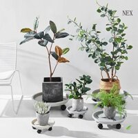 Khay nhựa vuông tròn NEX có con lăn Khay thoát nước Giá đỡ chậu hoa cho sân vườn
