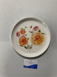 khay phíp tròn 2111