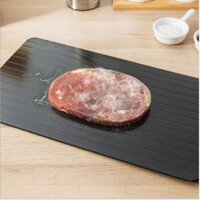 Khay rã đông thực phẩm nhanh Defrost Tray 23x16.5cm