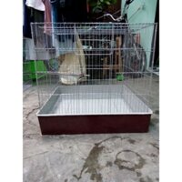 Khay tôn 60v giá 110k/ cái