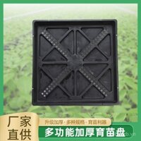 Khay trồng cây xanh, khay ươm cây, khay trồng rau và hoa dung tích lớn, khay nhựa ươm cây, khay nảy mầm bán buôn