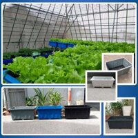 Khay trồng rau 50L màu Trắng, Chậu trồng rau thông minh 50L kích thước 660x480x250MM giá rẻ