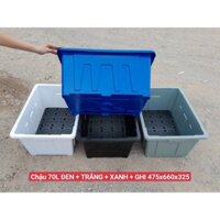 Khay trồng rau Aquaponics